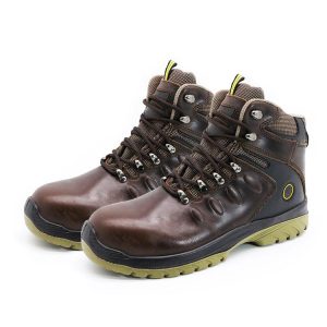 Brown Steel Toe Boots | EnteSafety