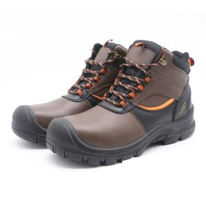 Waterproof Men's Work Shoes ASTM Standards | EnteSafety